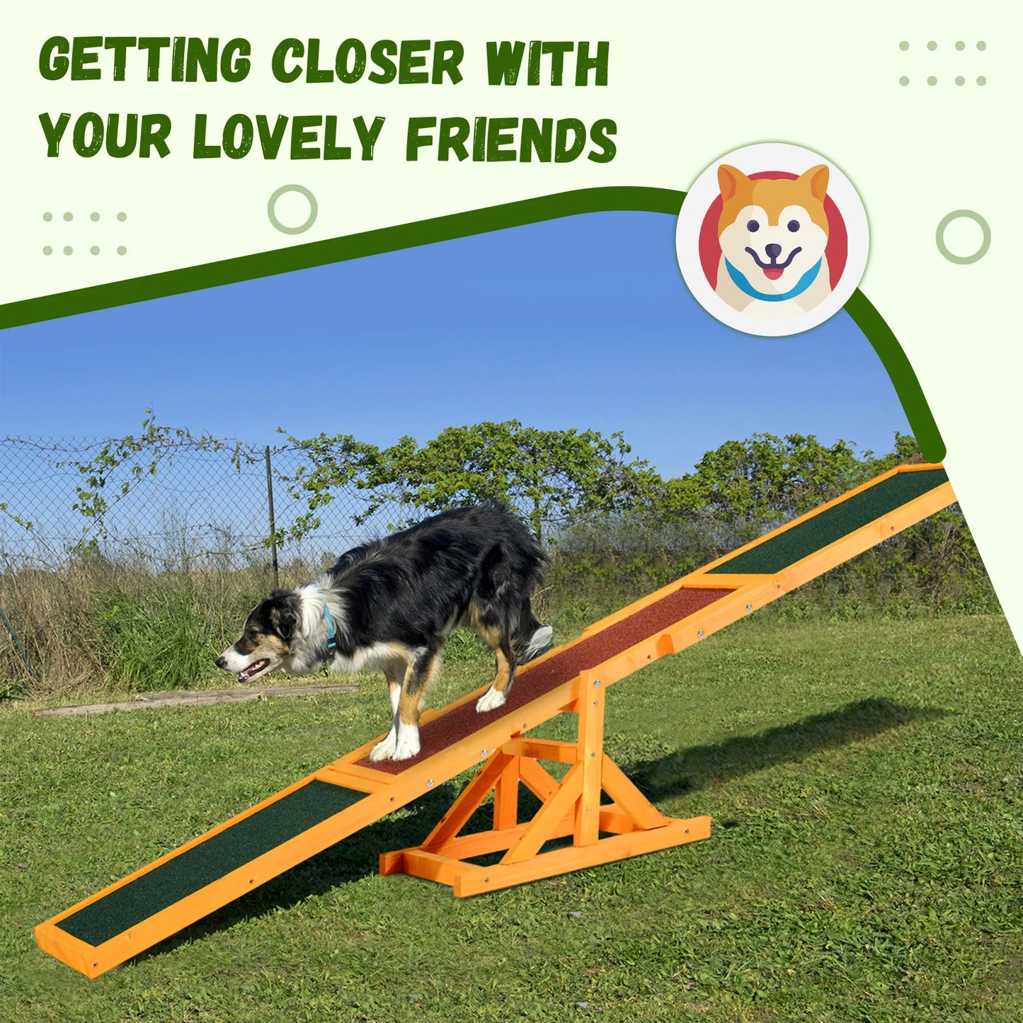 Agility Seesaw